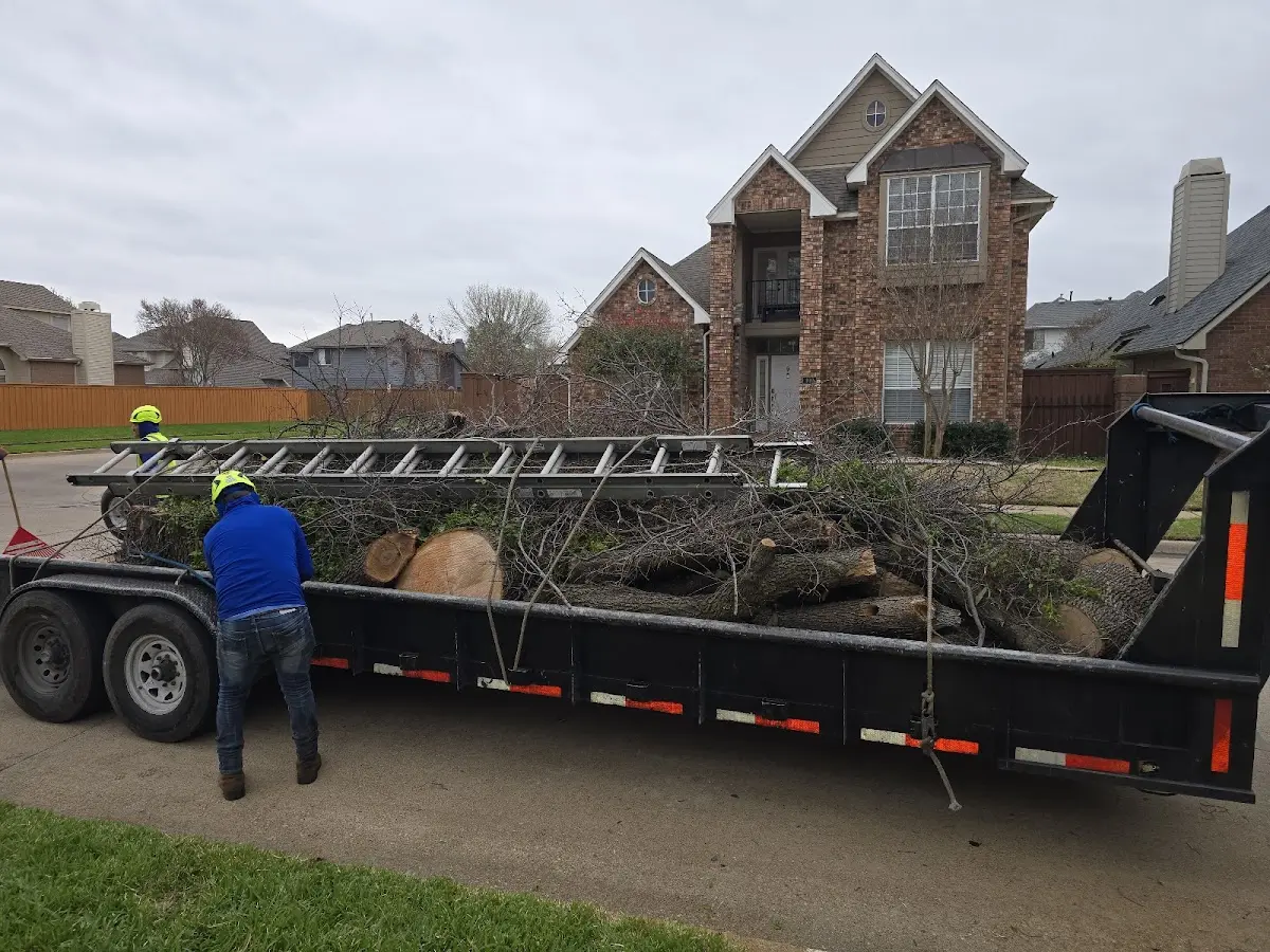 Expert Lot Clearing with proper safety equipment in Searsport